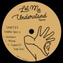Santos - Fragment 012 \'Jungle Flava\' (Original Mix)