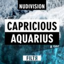 NuDivision - Aquarius