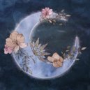 Ky akasha - Seeing Beauty in Everything