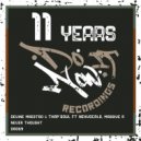 Devine Maestro & Thap’Soul Ft NexVocals, Massive R - Never Thought (Dj Umbi Remix)