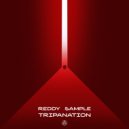 Reddy Sample - Boson (Original Mix)
