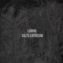 Ludviq - Saltu Capsicum
