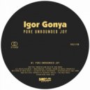 Igor Gonya - Pure Unbounded Joy