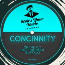 Concinnity - On The Fly