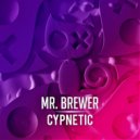 Mr. Brewer - Acid Belly (Original Mix)