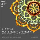 Bitonal, Matthias Hoffmann - Who Knows...Lost in Miami