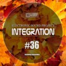 DJ Egorsky (Electronic Sound) - Integration#36