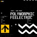 Polymorphic - Feelectric