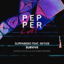 Slipenberg & Skylee - Survive