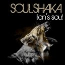Soulshaka - Take You Higher