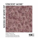 Vincent Achè - Seeds Of Hope