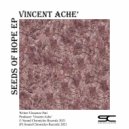 Vincent Achè - Seeds Of Hope (Original Mix)