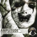 Mad Project - Amplitude of rocking of a body ()