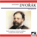Radio Symphony Orchestra Ljubljana - Tui nati vulnerati -Andante con moto quasi Allegretto ()