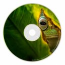 Swallow Bass - U Do (Original mix)