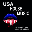 Dr House & F,Smid - USA House Music