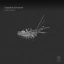 Empath, Kitkatone - Donnybrook (Original Mix)
