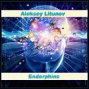 Aleksey Litunov - Setting Sun (Original Mix)