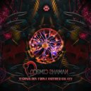 Cosmic Shaman Psy - Take What Take (Original Mix)
