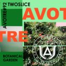 TwoSlice - Roots in Green