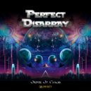 Perfect Disarray - Order Of Chaos (Original Mix)
