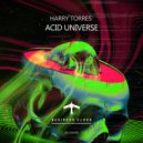 Harry Torres - Grave Acid