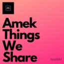 Amek - Things We Share