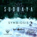 Sky Soul & Suduaya - Levitation