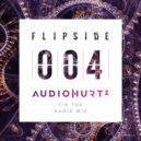 Audiohurtz - Tik Tok