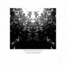 Modular Synth Affection - Garden of Memories