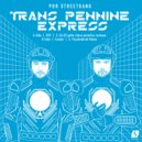 PBR Streetgang - GCP (Elles (Gotta Chase Paradise Reshape))