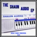 Shaun Audio - Fuzzy Labels