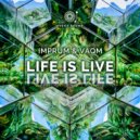 Imprum & Vaqm - Life Is Live