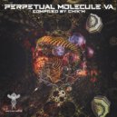Stereodots - Roots of the Devil