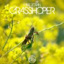 Mike Zoran - Grasshopper