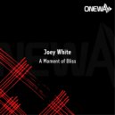 Joey White - A Moment of Bliss
