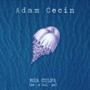 Adam Cecin - Mea Culpa