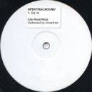 SPEKTRALSOUND - Big Up