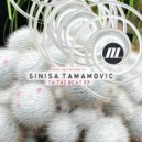 Sinisa Tamamovic - Trust (Original Mix)