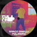 Marco Ginelli - Polimeric