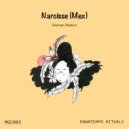 Narcisse (Mex) - Mabrany