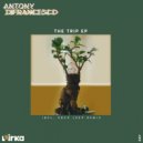 Antony Difrancesco - Through The Motions