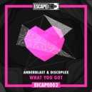 Anderblast & Discoplex - What You Got