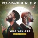 Craig David x MNEK - Who You Are
