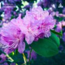 AstroPilot - A Fleeting Glimpse Of Beauty (Original Mix)