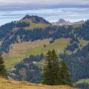 Vlad-Reh - Harmony with nature