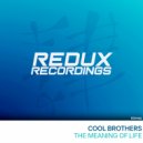 Cool Brothers - The Meaning Of Life (Original Mix)