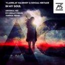 Vladislav Maximov & Social Mistake - In My Soul