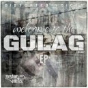 Distorted Voices - Fuck Bill Gates (Original Mix)