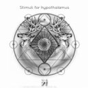 Sect Hypnosis - Reverse Life